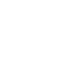 vision (1)